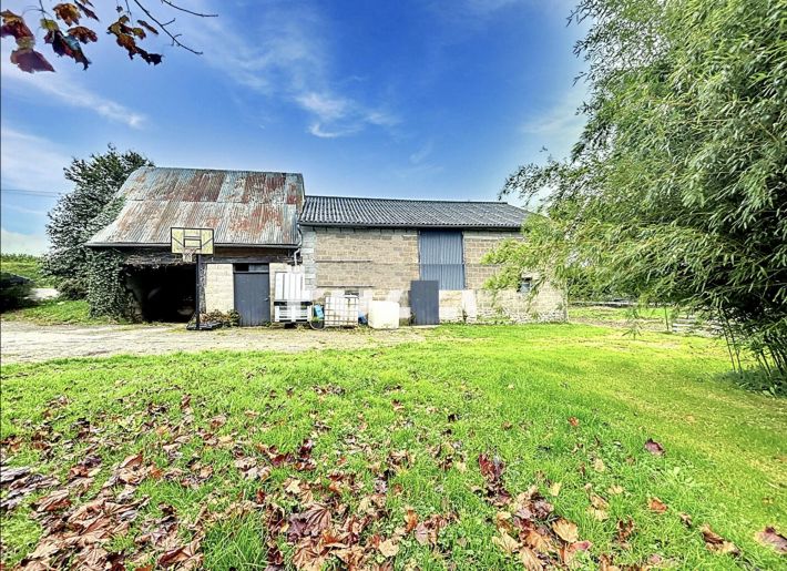Detached Country House with Outbuilding