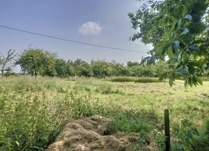 Detached Country House with Pond and Gardens