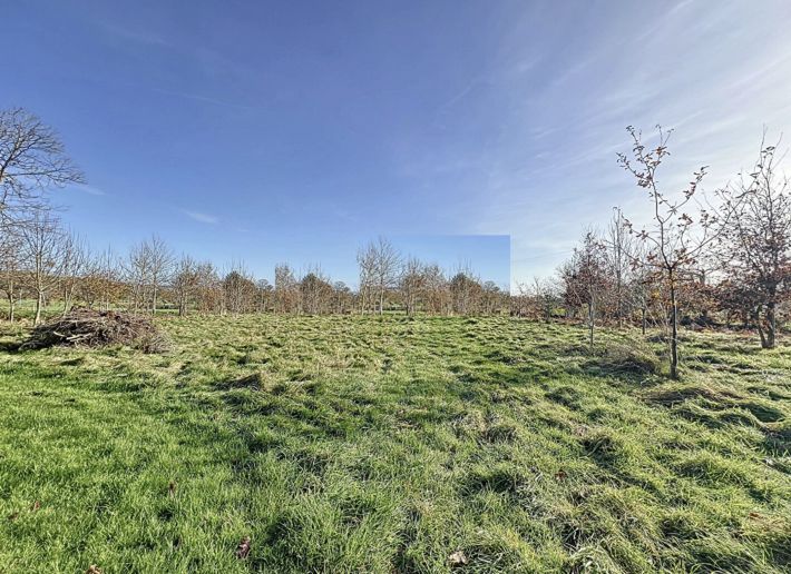 Detached Country House with Open Views
