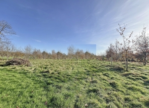 Detached Country House with Open Views