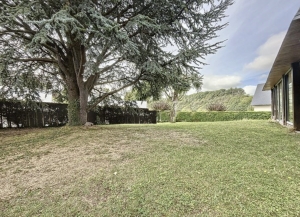 Detached House with Garden