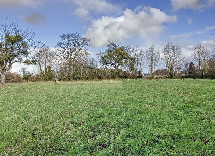 Detached Country House with Open Views