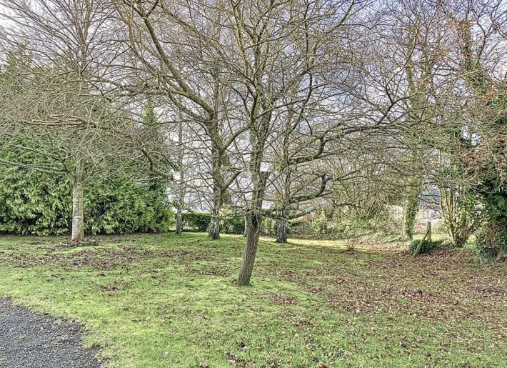 Detached Country House with Open Views