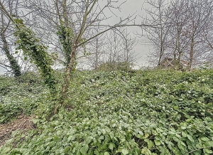 Detached Country House to Renovate