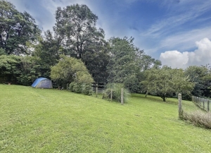 Detached House with Lovely Garden