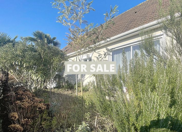 Single Storey House With Garden