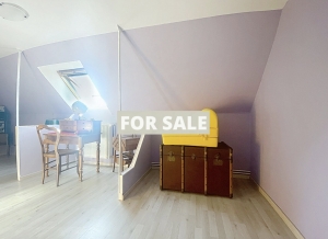 Single Storey House With Garden