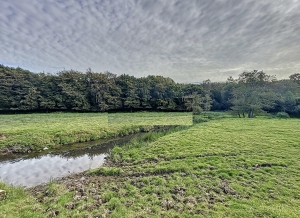 Detached Country House with Landscaped Garden