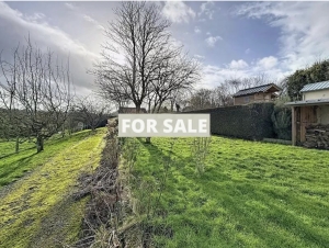 Magnificent House with Character in great Location