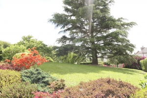 Mature Detached House with Landscaped Garden
