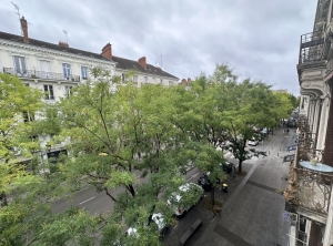 Haussmanien Apartment in Period Property
