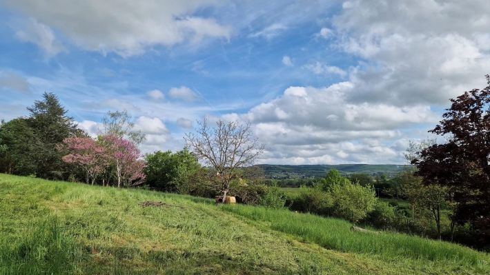 Beautiful Country House in Five Hectares of Land