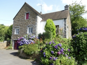 Detached House with Landscaped Garden