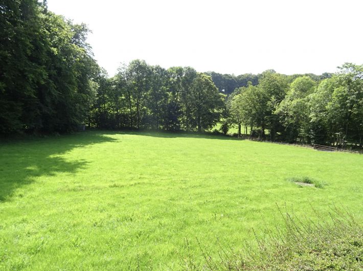 Detached House with Landscaped Garden