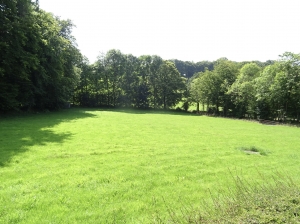 Detached House with Landscaped Garden