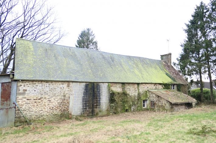 Habitable Country House with Outbuilding