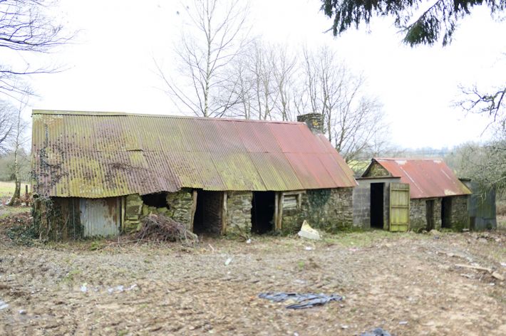 Habitable Country House with Outbuilding