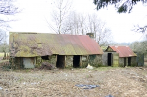Habitable Country House with Outbuilding
