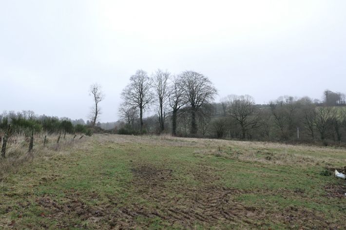 Habitable Country House with Outbuilding