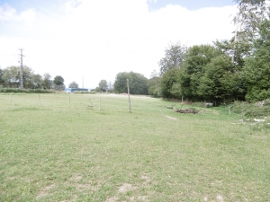 Detached Country House with Garden and Outbuilding