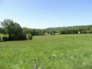 Detached Country House with Open Views