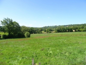 Detached Country House with Open Views