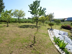 Detached Country House with Open Views