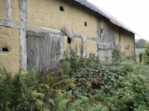 Solid House, Rural Renovation Project