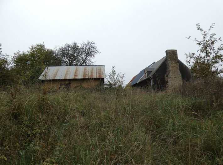 Solid House, Rural Renovation Project