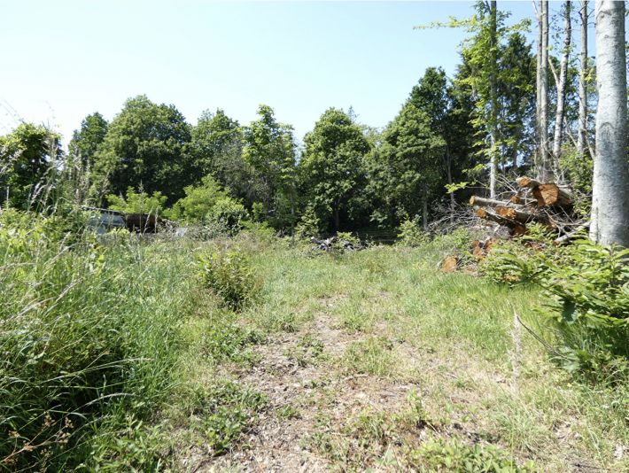 Building Plot For Sale