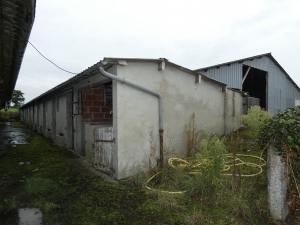 Detached House with Large Outbuilding
