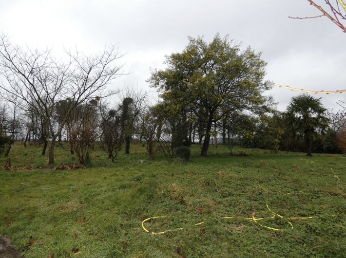 Detached House with More Potential and Outbuilding in Land