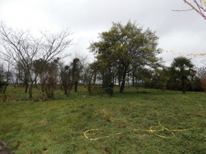 Detached House with More Potential and Outbuilding in Land