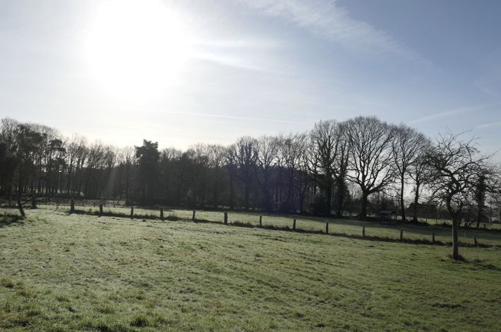 Detached Country House with Outbuilding and Open View