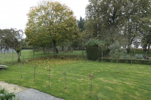 Detached House with Garden