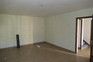 Detached House with Garden