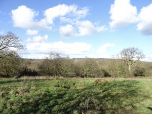 Detached Country House with No Neighbours