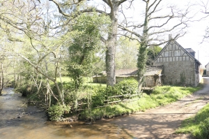 Characterful Country House, Bordered by the River