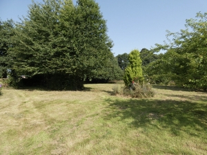 Detached Rural House with Large Garden