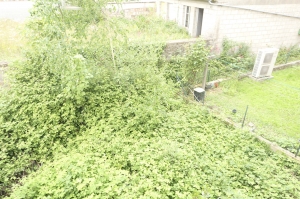 Habitable Town to Improve with Garden