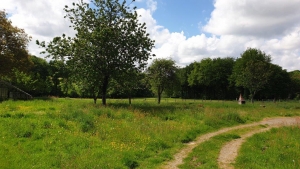 Detached House with Garden in the Countryside