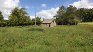 Detached House with Garden in the Countryside