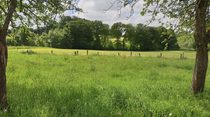 Detached House with Garden in the Countryside