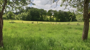 Detached House with Garden in the Countryside
