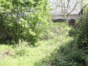 Town House to Renovate, Great Project