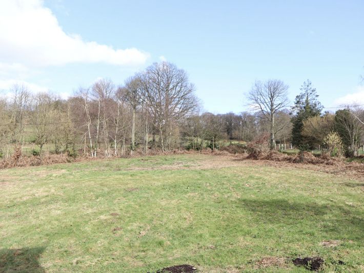 Detached House Divided into Two with Garden