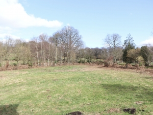 Detached House Divided into Two with Garden