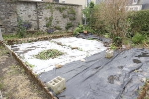 Town House with Garden
