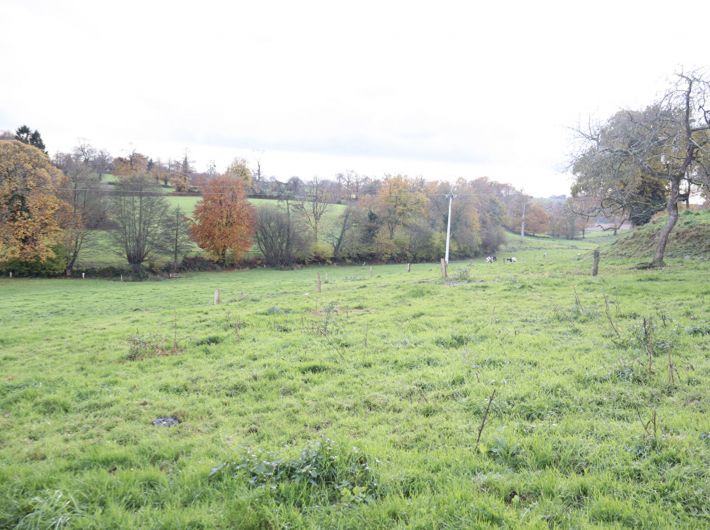 Detached Country House To Renovated