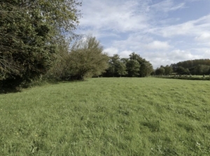 Detached Country House with Outbuilding